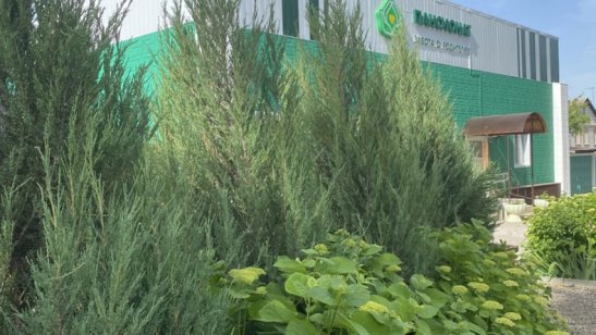 Пансионат «Забота о родителях» фото